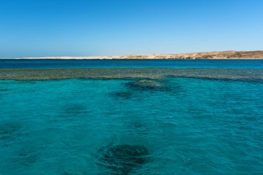 Mercan Denizi şnorkel veya yaz aylarında tüplü dalış için. Egzotik bir ülkede yaz tatili. Kızıldeniz açık turkuaz su ile.