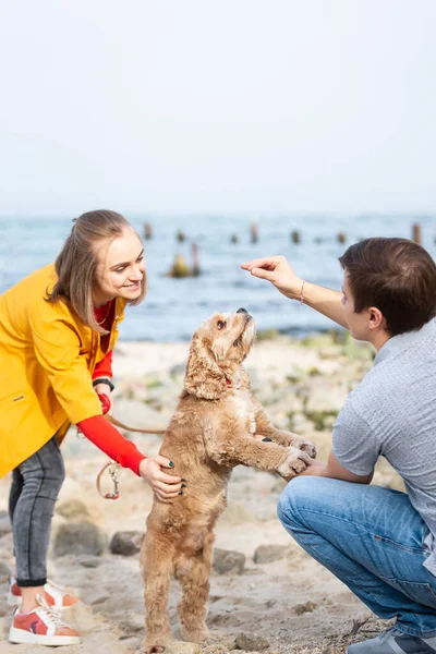 Young Couple Playing Dog Sea Coast Dog Walking Outdoors Happy — Stock Photo, Image