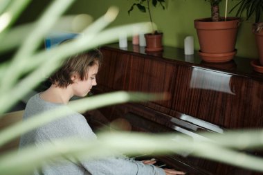 Evde piyano çalan genç bir kadın. Ev çiçeğinin yapraklarının arasından bak. Ev adası. Evde rahat hissediyorum. Saksıda bir sürü çiçek var. Karantinada yaşam tarzı.