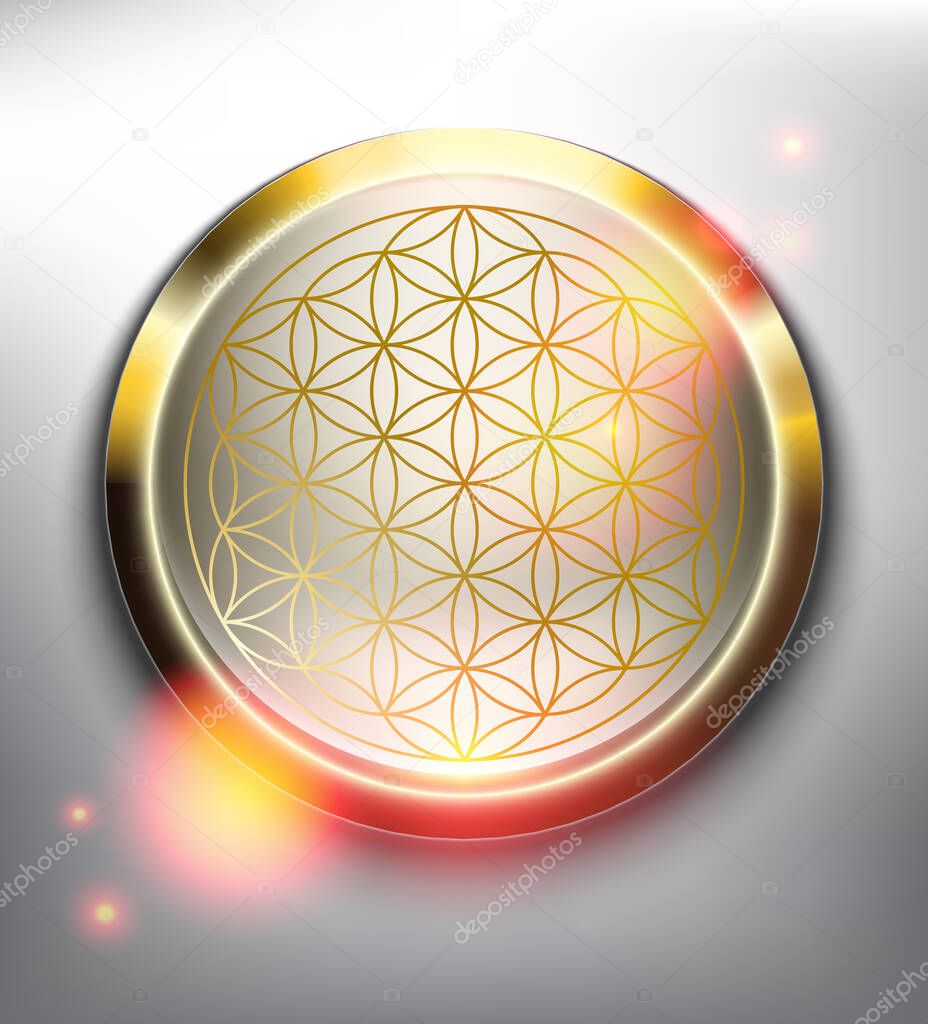 Flower of life symbol in golden frame. Sacred geometry. Isolated on the white background. Vector illustration. Eps10.