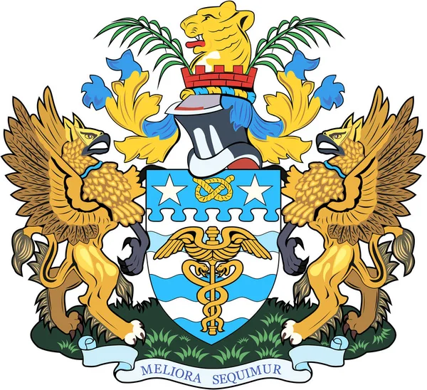 Escudo de armas de la ciudad de Brisbane. Países Bajos — Foto de Stock