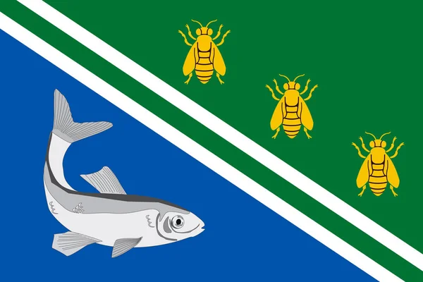 The flag of Fish. Ryazan Oblast — Stock Photo, Image