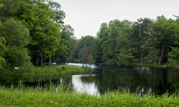 Остров Элагин поздно ночью. Санкт-Петербург. Россия
