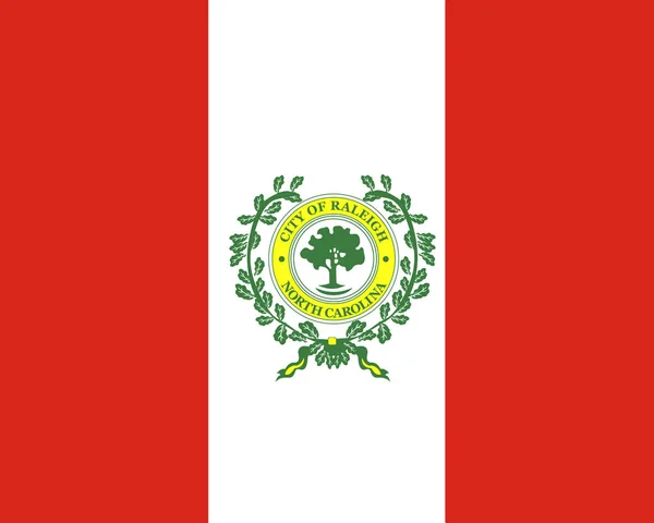 Bandeira Cidade Raleigh América — Fotografia de Stock