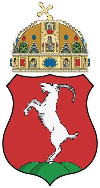 Kecskemet 市的徽章 匈牙利 — 图库照片