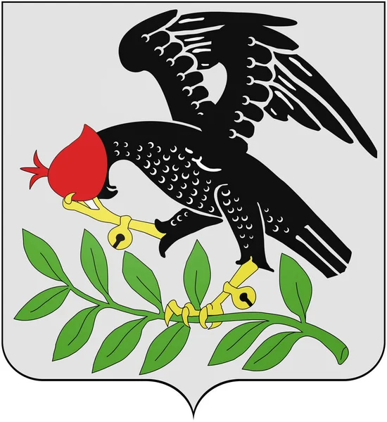 Wappen Von Ville Ville Belgien — Stockfoto