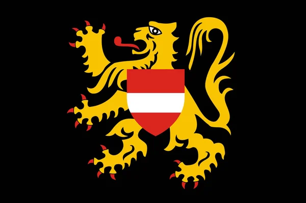 Bandera Provincia Brabante Flamenco Países Bajos — Foto de Stock