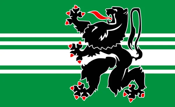 Flagge Der Provinz Ostflandern Belgien — Stockfoto