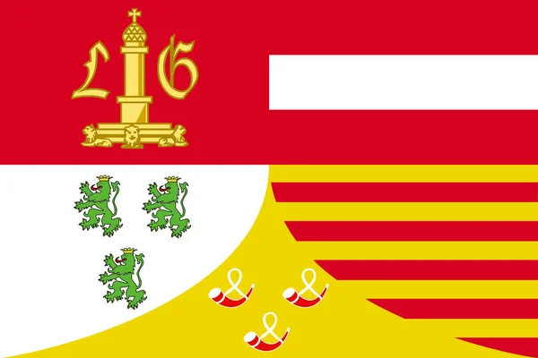 Flagga För Ligeprovinsen Belgien — Stockfoto