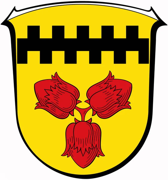 Herb Komuny Hasselroth Niemcy — Zdjęcie stockowe