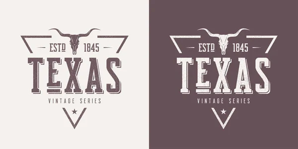 Texas devlet vintage vektör t-shirt ve konfeksiyon tasarım dokulu, — Stok Vektör