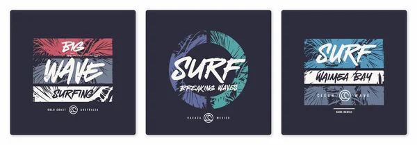 Colección de tres vectores gráficos diseños de camisetas, carteles, impresiones sobre el tema del surf — Vector de stock