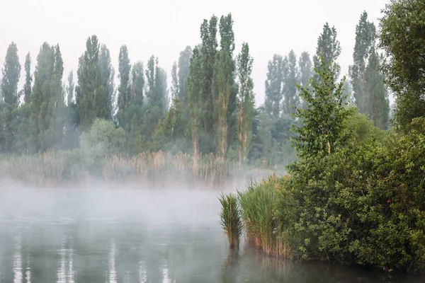 Mgła nad jeziorem, Ranna mgła na stawie — Zdjęcie stockowe