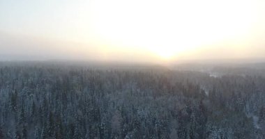 kış orman Panoraması