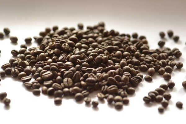 coffee beans on white background