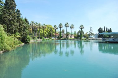 Yaz güneşli gün parkta gölde