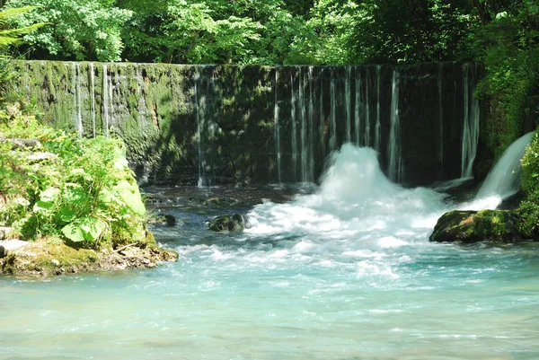 Floresta cachoeira no verão dia ensolarado — Fotografia de Stock