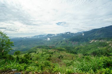 Tepeler, dağlar ve yaz da jungle vadinin görünümü