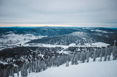 Karla kaplı ağaçlar kar dağ üstündeki donmuş. Panoramik