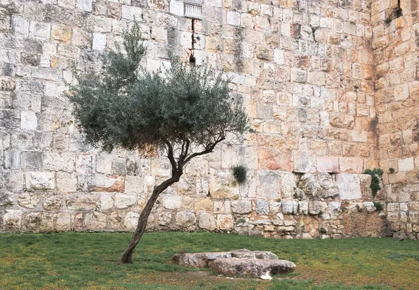 Yerusalem Adalah Pusat Kehidupan Keagamaan Dan Budaya Israel Kota Dari — Stok Foto