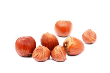 Grup Sağlık fındık 