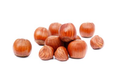 İzole grup fındık