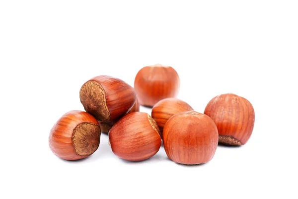 Lískové ořechy skupina izolovaných — Stock fotografie