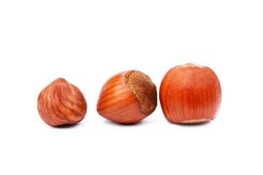 Grup Sağlık fındık