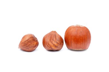 İzole grup fındık