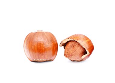 Grup Sağlık fındık