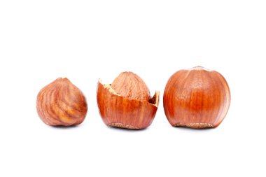 Grup Sağlık fındık