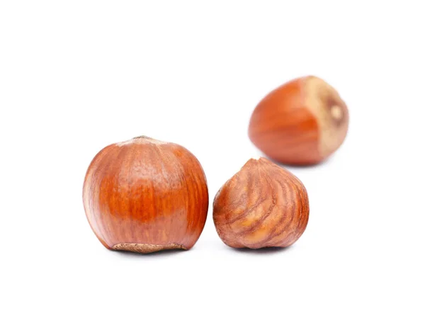 Group fresh hazelnuts — Stock Photo, Image