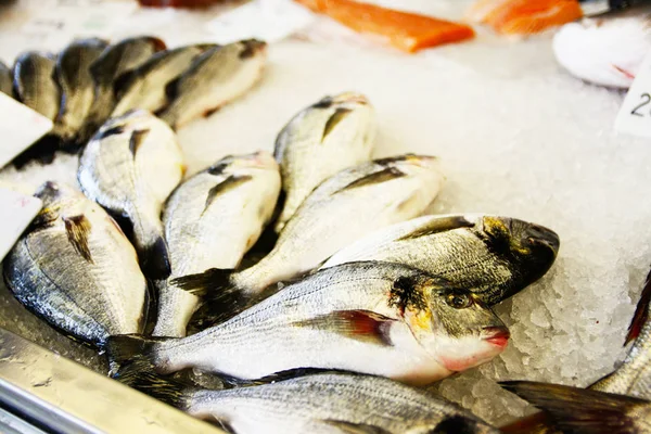 Peixes expostos na loja de peixe — Fotografia de Stock