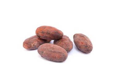 Kavrulmuş kakao çekirdekleri