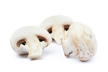 Taze şampiyon mantarları