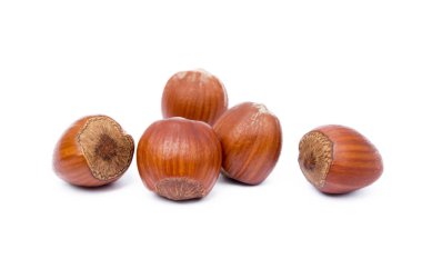 Grup Sağlık fındık