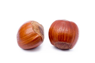 Grup Sağlık fındık