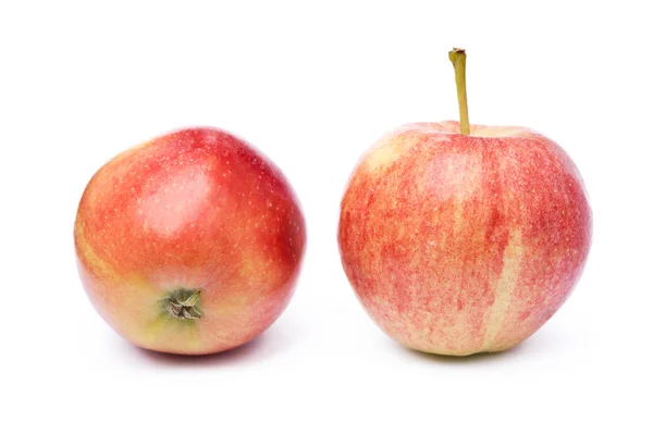 Friskt äpple — Stockfoto