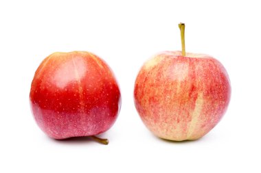 taze sağlıklı elma