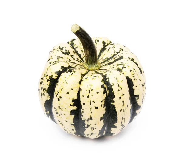 Dolce zucca isolata — Foto Stock