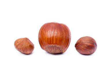 Grup Sağlık fındık