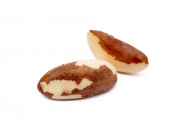 İzole Para fındık