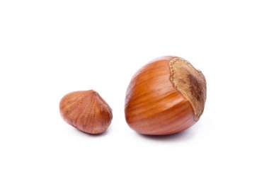 Grup Sağlık fındık