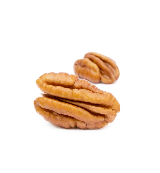 Fresh pecan nuts — Stock Photo, Image