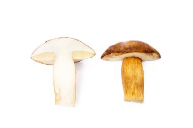 İzole üzerinde beyaz arka plan taze çörek mantarı