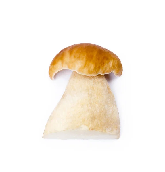 白色背景的新鲜牛蘑菇 — 图库照片