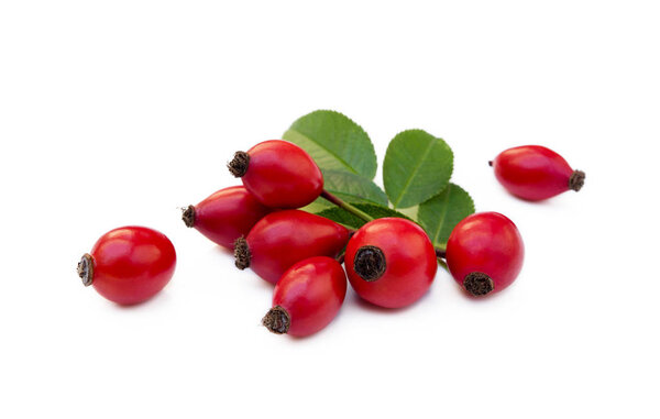 Ripe rose hip isolated on white background