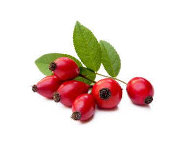 Olgun gül kalçası beyaz arkaplanda izole