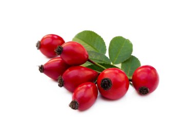 Olgun gül kalçası beyaz arkaplanda izole