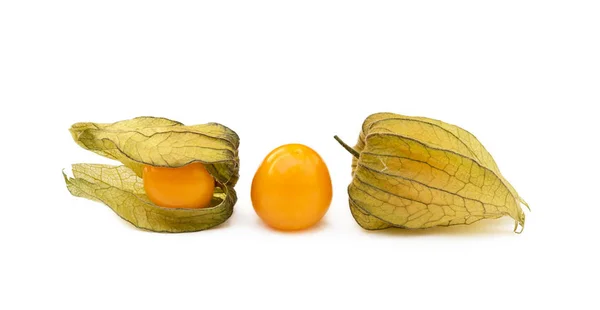 Zdravé Cape Angrešt Physalis Izolované Bílém Pozadí — Stock fotografie